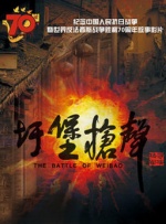 国内成人精品视频